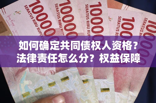 北京如何确定共同债权人资格？法律责任怎么分？权益保障技巧揭秘！
