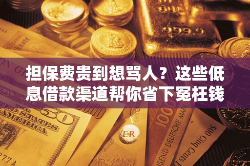 北京担保费贵到想骂人？这些低息借款渠道帮你省下冤枉钱