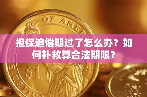 北京担保追偿期过了怎么办？如何补救算合法期限？